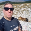 Ivica